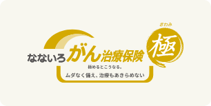 なないろがん治療保険極(きわみ)