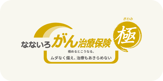 なないろがん治療保険極(きわみ)