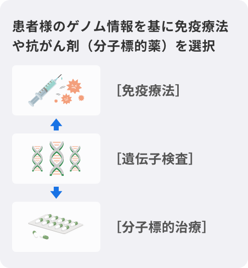 患者様のゲノム情報を基に免疫療法や抗がん剤（分子標的薬）を選択・免疫療法・遺伝子検査・分標的治療