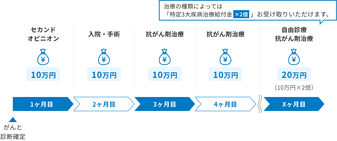 1ヶ月目：セカンドオピニオン10万円→2ヶ月目：入院・手術10万円→3ヶ月目：抗がん剤治療10万円→4ヶ月目；抗がん剤治療10万円→Xヶ月目：自由診療・抗がん剤治療20万円