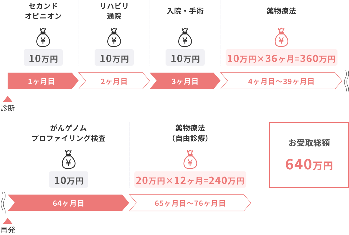 1ヶ月目：セカンドオピニオン10万円→2ヶ月目：リハビリ通院10万円→3ヶ月目：入院・手術10万円→4ヶ月目~39ヶ月目；薬物療法10万円×36ヶ月=360万円→64ヶ月目：がんゲノムプロファイリング検査10万円→65ヶ月目~76ヶ月目；薬物療法(自由診療)20万円×12ヶ月=240万円 お取受総額640万円