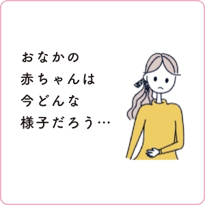 おなかの赤ちゃんは今どんな様子だろう…
