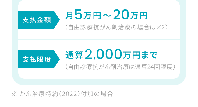 【支払金額：月5万円〜20万円（自由診療抗がん剤治療の場合は×2）】【支払限度：通算2,000万円まで（自由診療抗がん剤治療は通算24回限度）】※ がん治療特約（2022）付加の場合