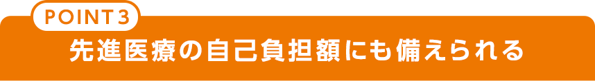 point3 先進医療の自己負担額にも備えられる