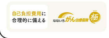 がん治療の自己負担費用に合理的に備えるがん保険【なないろ治療保険 極】