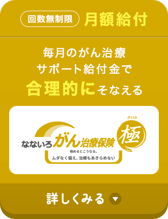 【回数無制限月額給付】毎月のがん治療サポート給付金で合理的にそなえる【なないろがん治療保険 極】詳しくみる